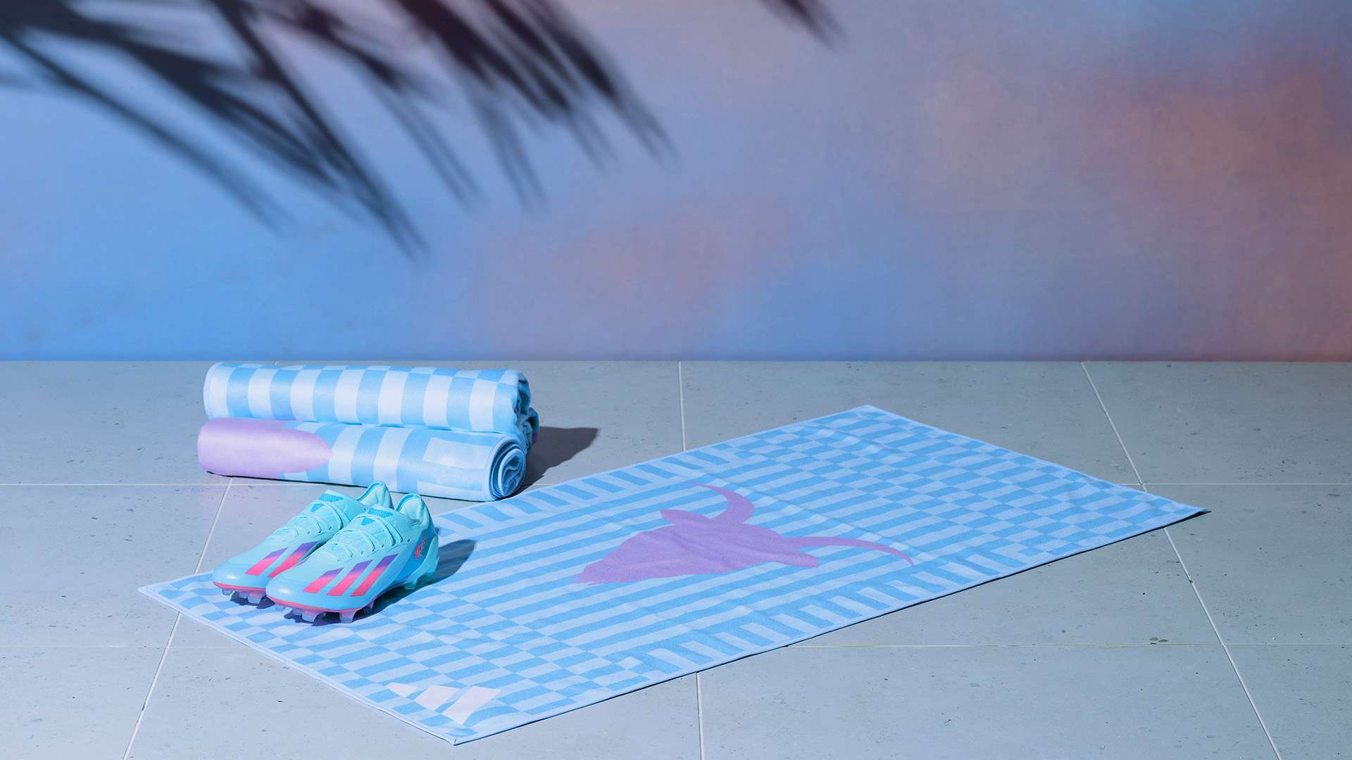 不含买断条 不含买断条